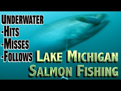 Trolling Lake Michigan Fishing Salmon & Trout | INCREDIBLE Underwater Footage