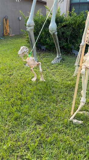 @homedepot please help me find the 9 foot T-Rex 😭 #homedepot #halloween #homedepothalloween #12footskeleton #homedepot12ftskeleton #homedepottrex #sleletondinosaur #halloweendecor #dinosaurdecor #dinosaurhalloween #jurassicparkhouse #dinosaurhouse #jurassicparkjeep #jurassicjeep #jurassicjeeplife #jurassicparklife | Batty Dino/ Jurassic Jeep 05