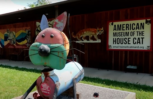 Take a trip to the American Museum of the House Cat