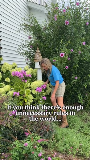Hi! I’m Hey Honeysuckle! 🌸 I don’t have a perfect garden but if you want a cottage-style flower garden of your very own, I can show you how I create mine and have fun doing it. 🩷 Comment “freedom” for my free guide and be sure to follow along for more tips! (I’m so glad you’re here!🌸🌸🌸) | Hey Honeysuckle