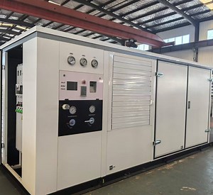 [Hot Item] CNG Refueling Station Home Gas Station Mother Station and Dispenser Solutions for Efficient CNG Supply