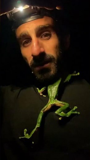 GIANT Monkey Frog landed on me in the Amazon Rainforest