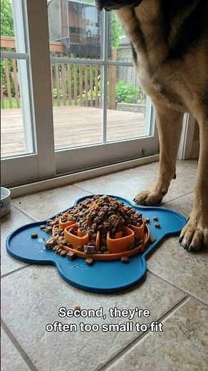 Super Feedy 4-in-1 Slow Feeder Dog Bowl Review | Your Slow Feeder Isn't Working (Here's Why) 🐾