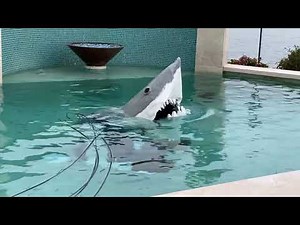 The Ultimate Submechanophobia Compilation