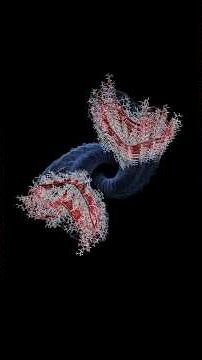 Prion The Deadliest Protein You’ve Never Heard Of