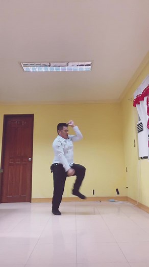 Security Guard Dances to Lady Gaga's Alejandro | Dance Challenge