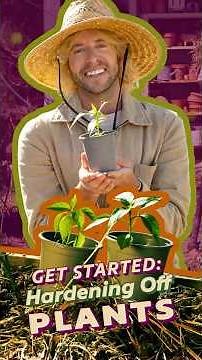 What is "hardening off" plants? | Indoor to Outdoor Gardening