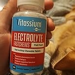 Vitassium FastChews, Chewable Electrolyte Tablets for Management of POTS and High Sodium Diets, Fast-Acting Sodium Tablets, Fruit Punch, 60 Count