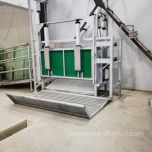 [Hot Item] Bull Cow Slaughter Machine Abattoir Equipment Cattle Stunning Knocking Box for Slaughterhouse