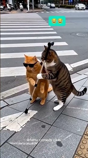 You didn't do the right thing, 😺; yousnatched that blind cat's stick from him."