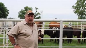 Johnny Lee update video from The Yellow Rose Ranch- Episode #3 Cattle, BBQ's and much more! Please share with your friends | Johnny Lee