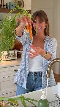 Pt. 6 I Sunday Supper: Spicy Lobster Pasta, Fried Zucchini Blossoms, & Coconut Cream Pie #summer