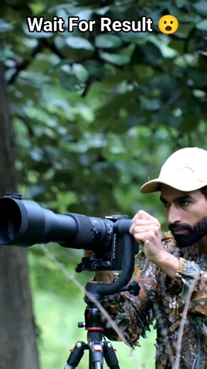 3.5K views · 143 reactions | Curious Encounter – Bird Meets Squirrel...