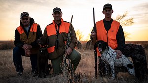 Missouri German Shorthairs - Prime Shorthairs
