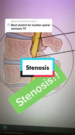 Dr. Brian Meenan DC on TikTok