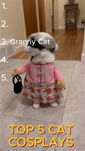 Top 5 Funniest Cat Cosplays Ever! 🐱🎭