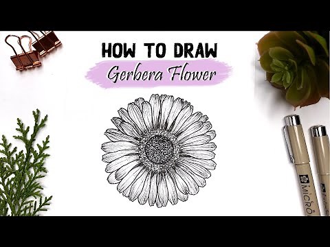 How to draw a Gerbera Daisy | Easy tutorial | DIY | Floral Illustration