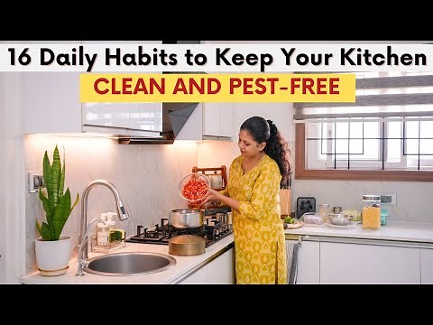 16 Daily Habits to Keep Your Kitchen Clean & Pest Free | Best Way to Maintain a Modern Kitchen