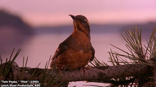 Feb. 24 marks the day beloved homecoming queen Laura Palmer was found murdered in the surreal early-90s serial drama "Twin Peaks." http://imdb.to/2l8BWcS | IMDb