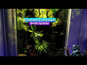 Vivarium Ecosystem Build update! - Bioactive Dart frog Terrarium