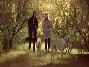 Brian Ferry " Avalon " for Marni at H&M