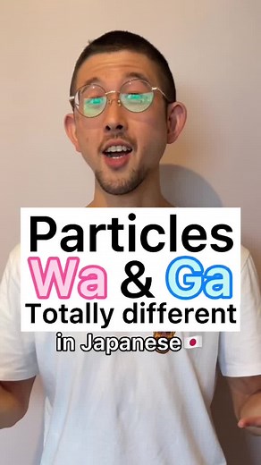 Learn Japanese Language Differences: Wa vs. Ga Particles Explained