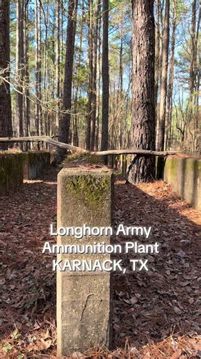 Per wiki: The Longhorn Army Ammunition Plant was a 8,493-acre government-owned, contractor-operated facility in Karnack, Texas that was established in 1942. The Monsanto Chemical Company selected the site in December 1941 to produce TNT. The plant produced 393,000,000 pounds of TNT throughout World War II. After the signing of the Intermediate-Range Nuclear Forces Treaty on December 8, 1987, the Longhorn plant was used to destroy Pershing 1a and Pershing II missiles. The plant was operated by Th