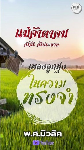 รวมเพลงอมตะลูกทุ่ง ในความทรงจำ แม่ค้าตาคม - ศรคีรี ศรีประจวบ