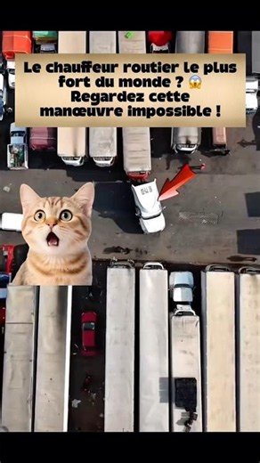 Le chauffeur routier le plus fort du monde ? 😱 Regardez cette manœuvre impossible #camion
