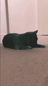 Can you hear her whispers?