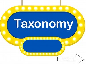 Taxonomy STAAR Blitz