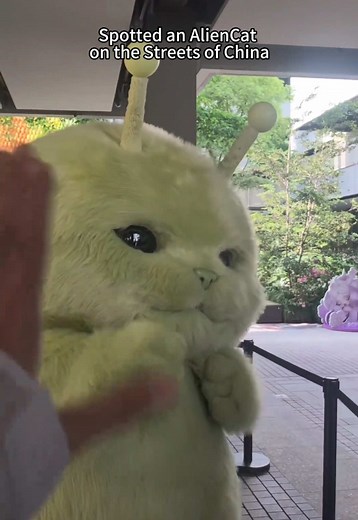 Viral Green Alien Cat Walks Like NPC on Chinese Street