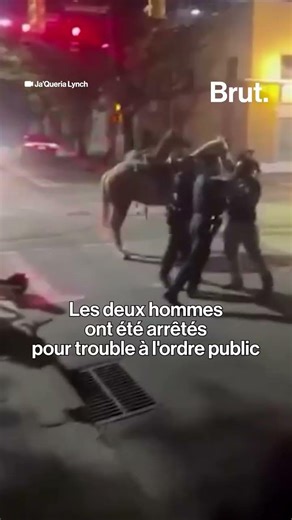 Un cheval percuté par une voiture après avoir fui en pleine rue.