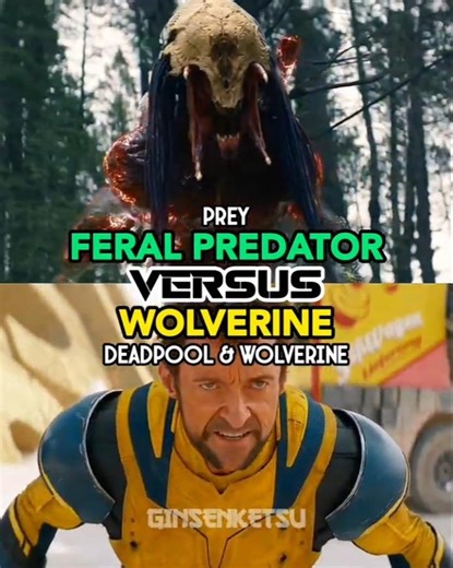 Feral Predator vs D&W Wolverine