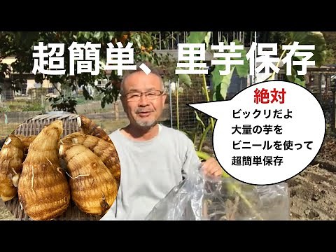 田舎暮らしの日常 超簡単な里芋保存方法を伝授します 大量の芋を２０分で保存する画期的なアイディア 私も教えて頂きました 飛騨の山奥での生活