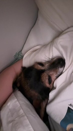寝る前の恋のおまじない｜スマホのメモで好きな人と目が合う？