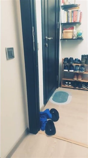 aböne ol nolarrrr #voiceeffects #football #love #music #puppet #cosplay #song #memes