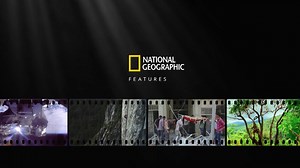 WATCH THE BEST of National Geographic every Sunday from July 7. For 130 years National Geographic has been bringing amazing stories from around the world to our readers and viewers. #NationalGeographicFeatures @Foxtel @FetchTV @SkyNewzealandTV | National Geographic Australia