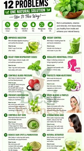 Mint Leaves: 12 Amazing Health & Beauty Benefits 🌱✨