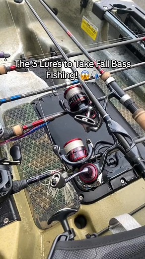 The Best Lires For Fall Bass Fishing! 7281758550798454059cc #beginnerfishing #fishing #fishingtiktoks #newfisherman #tipsforfishing #howtofish #sightfish | Reel Retreat | Facebook