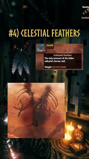 Where'd the Bog Witch get these Feathers? #valheim