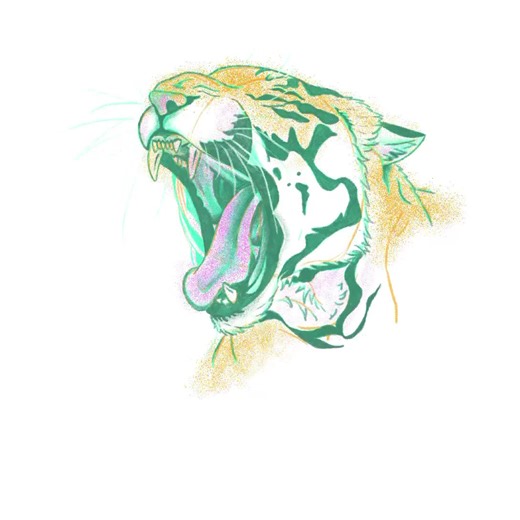 Tiger sketches all day ✨ #procreate #timelapse