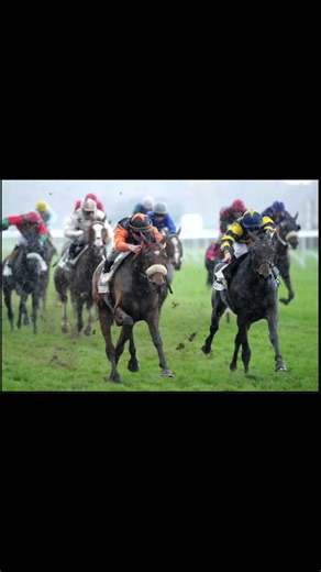 Même distance. Pas la même course. Terrain lourd ou terrain roulant, ça change tout. Comme au foot : pelouse lourde ≠ pelouse sèche. Dans le turf, le terrain peut inverser la hiérarchie. #turf #hippique #sportcompris #casdecole #pourtoi