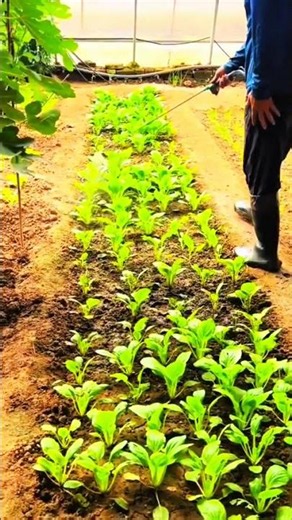 "Greenhouse watering method nurturing growth through guided motion"