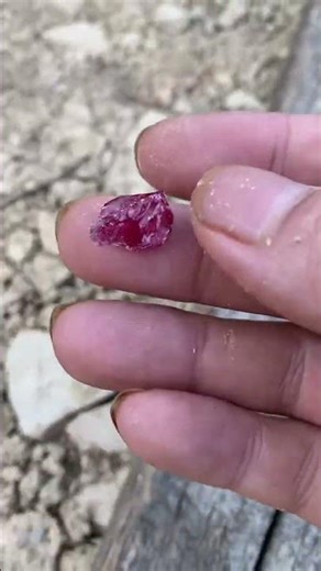đi rừng nhặt được viên đá và cái kết#rubygems #xuhuongyoutube