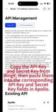 HOW TO BIND BINGX EXCHANGE TO APOLLO BOT