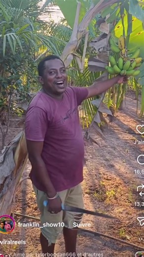 Clear enough?😅 Join MTM: 773 873 7710 #truckingmeme #truckingfun #truckingfunny #truckdrivermemes #dispatch