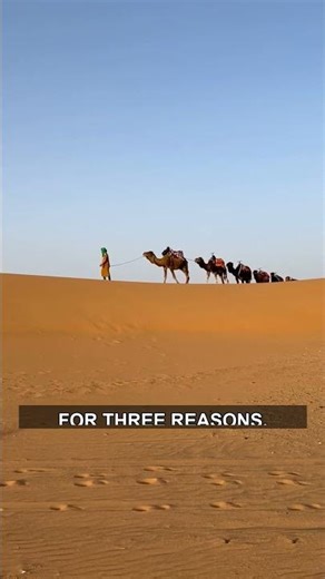 How the Hijra Reshaped History, Step by Step