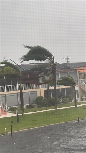 Corey Lazar WINK News on Reels