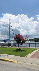 3.2K views · 91 reactions | Checkout Beautiful & Historic Little...